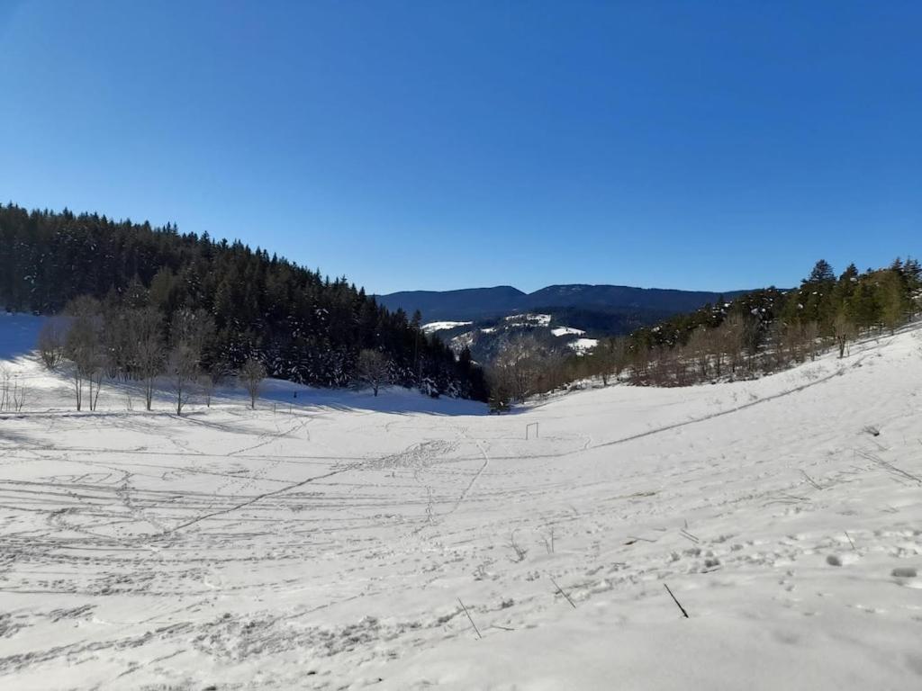Les Glovettes Villard De Lans Dış mekan fotoğraf