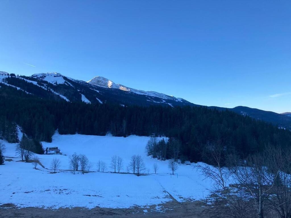 Les Glovettes Villard De Lans Dış mekan fotoğraf